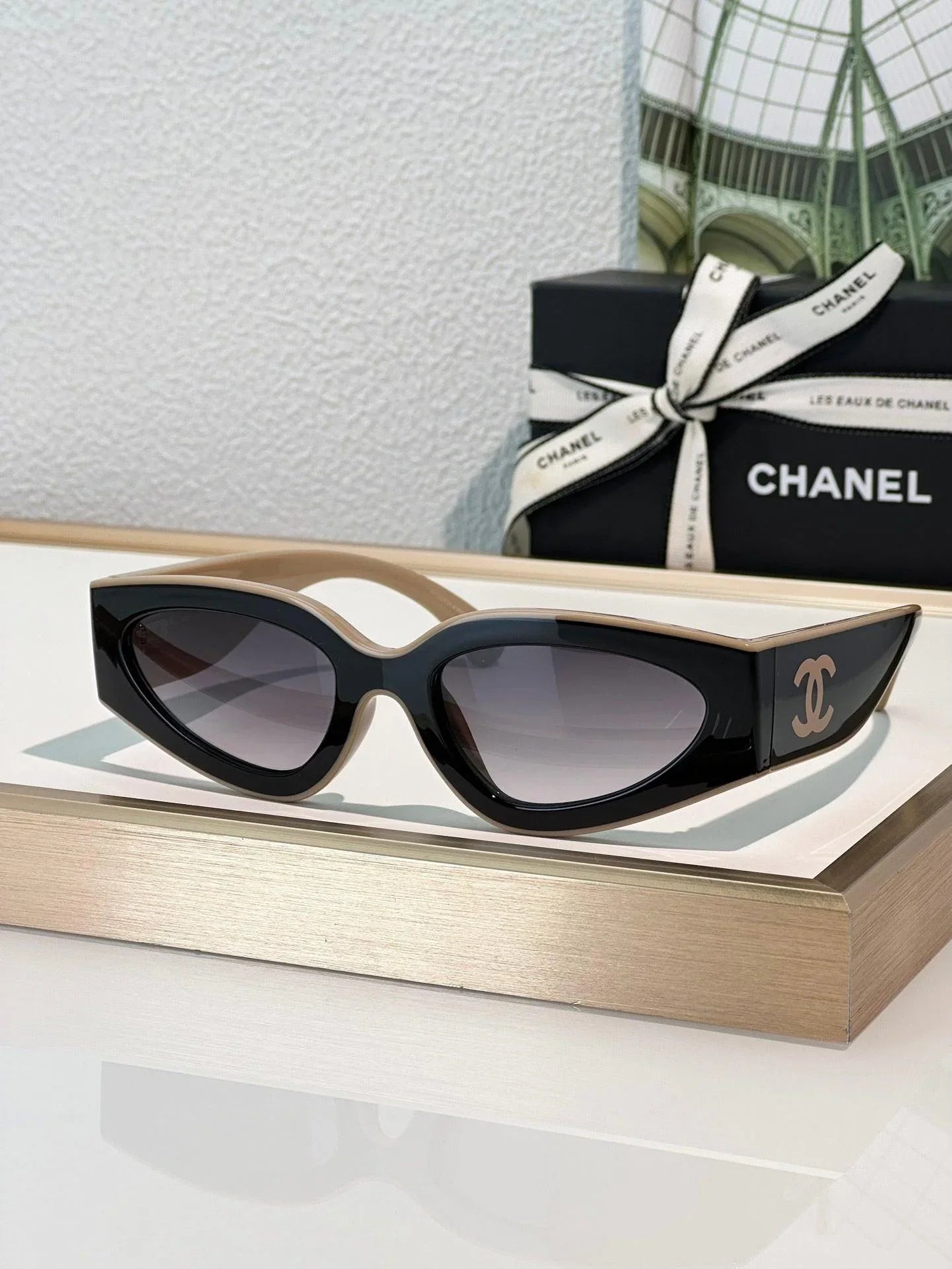 CHANEL Cat Eye Sunglasses CH6056 Women's Acetate Sunglasses 🖤.