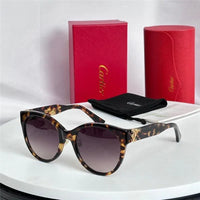 Cartier Acetate frame Women's Sunglasses CT0438SA  🐆
