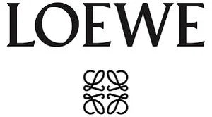 LOEWE Bow sunglasses in acetate Sunglasses ✨