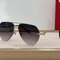 Cartier 2024 NEW ARRIVALS PREMIÈRE DE CARTIER SUNGLASSES CT 0427S 60mm 🐆