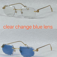 PANTHÈRE DE CARTIER CT CT0162O Photochromic Sunglasses 👑