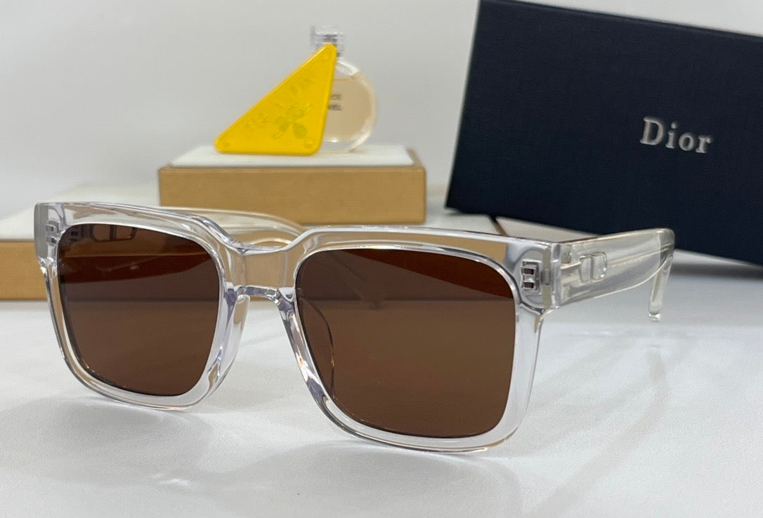 Christian Dior Men's Link Transparent Oblique Sunglasses✨ - buyonlinebehappy