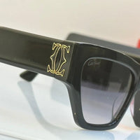 Cartier Acetate frame Women's Sunglasses CT0435S-003  🐆
