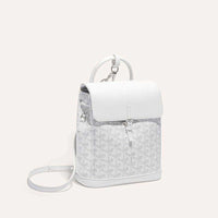 Goyard Mini Alpin Backpack In Goyardine Canvas ✨