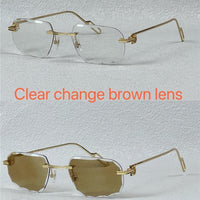 PANTHÈRE DE CARTIER CT CT0162O Photochromic Sunglasses 👑