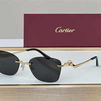 PANTHÈRE DE CARTIER CT 0120 - Platinum-Gold Sunglasses 👑