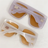 2023-24 NEW SEASON Dior So Light 1 Extra Large Gradient Lens Shield Sunglasses✨