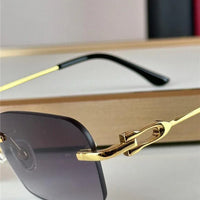 Cartier PREMIÈRE DE CARTIER SUNGLASSES CT0290 🐆