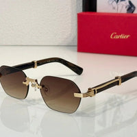 Cartier PREMIÈRE DE CARTIER SUNGLASSES CT0362S 🐆