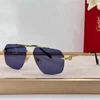 2024 Cartier PREMIÈRE DE CARTIER SUNGLASSES CT 0426S 57mm 🐆