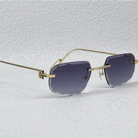 PANTHÈRE DE CARTIER CT CT0162O Photochromic Sunglasses 👑