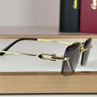 Cartier PREMIÈRE DE CARTIER SUNGLASSES CT0290 🐆