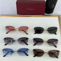 PANTHÈRE DE CARTIER CT 0120 - Platinum-Gold Sunglasses 👑