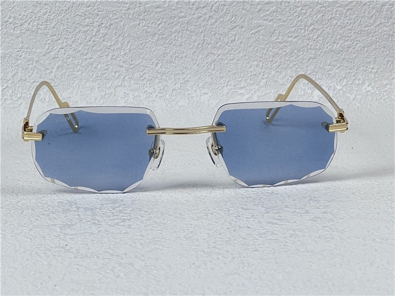 PANTHÈRE DE CARTIER CT CT0162O Photochromic Sunglasses 👑 - buyonlinebehappy