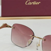 PANTHÈRE DE CARTIER CT 0120 - Platinum-Gold Sunglasses 👑