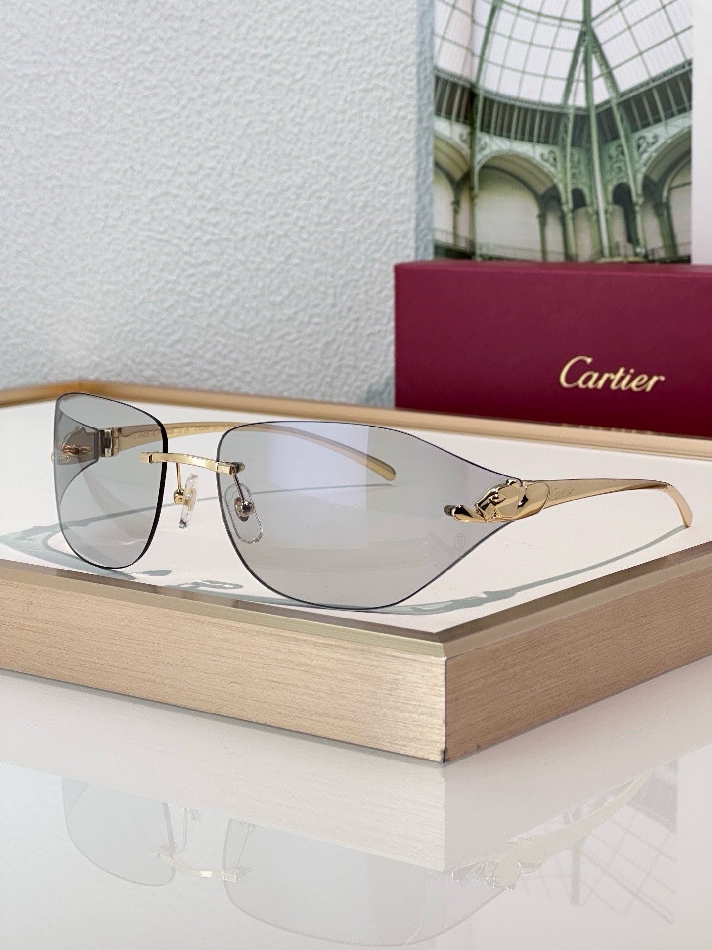 Cartier PREMIÈRE DE CARTIER CT0068S Sunglasses 🐆