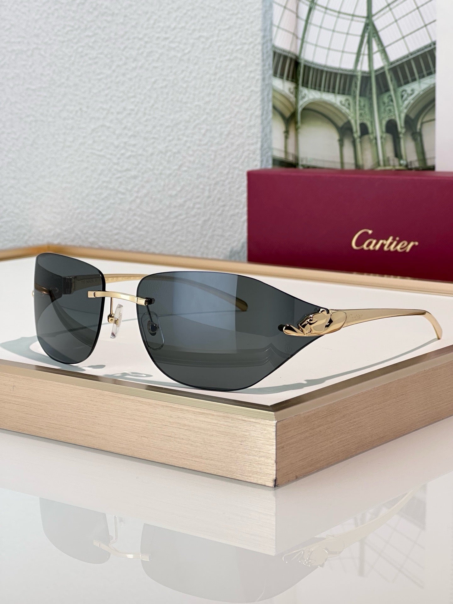 Cartier PREMIÈRE DE CARTIER CT0068S Sunglasses 🐆