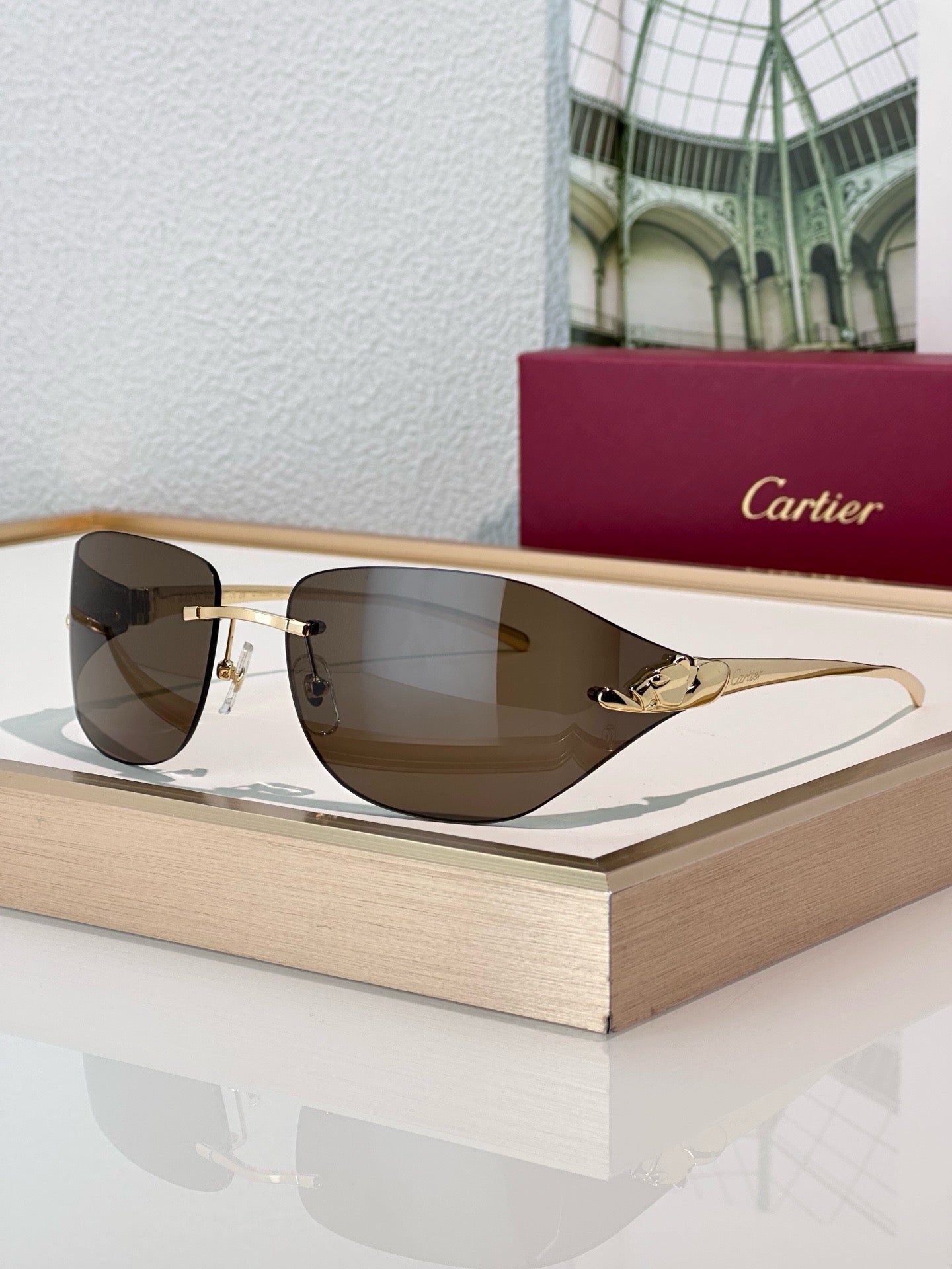 Cartier PREMIÈRE DE CARTIER CT0068S Sunglasses 🐆