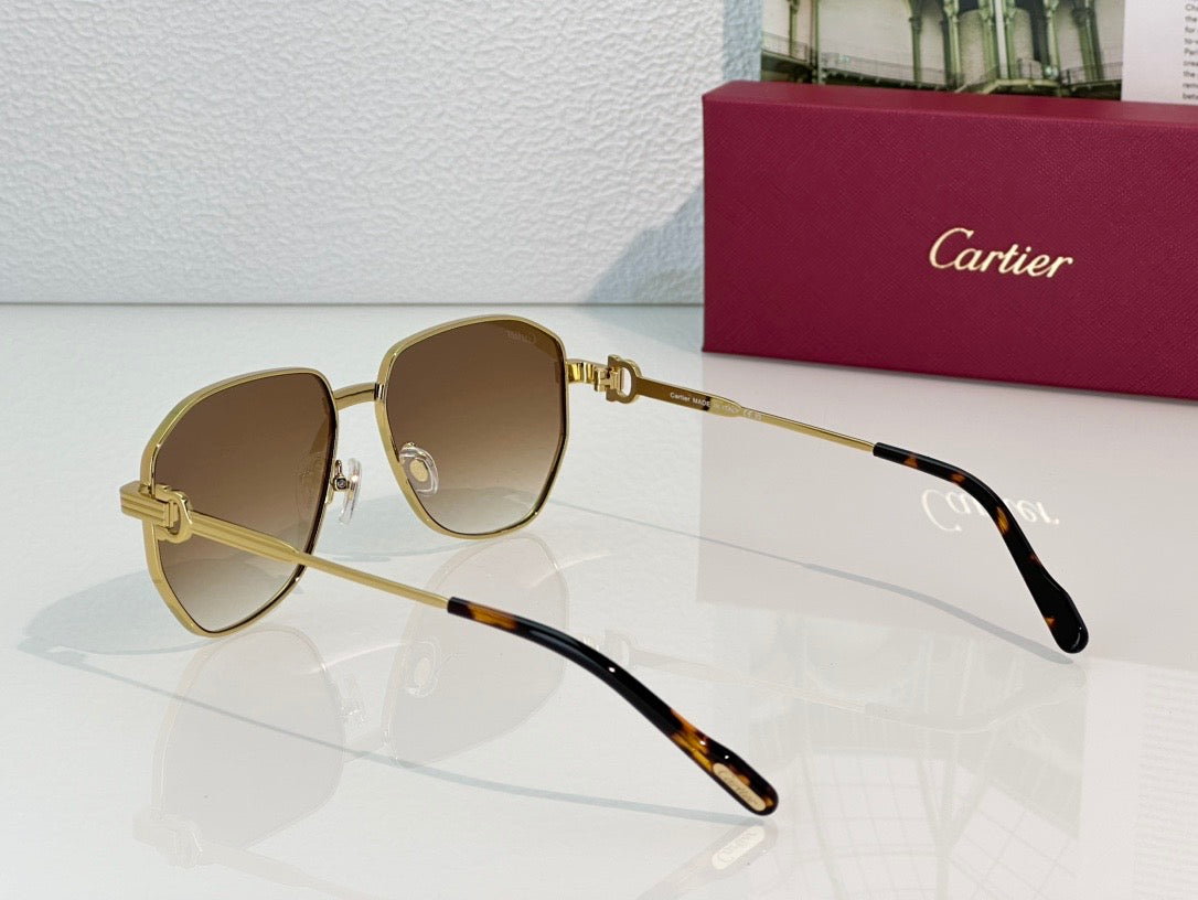 Cartier PREMIÈRE DE CARTIER CT0484O Sunglasses 🐆