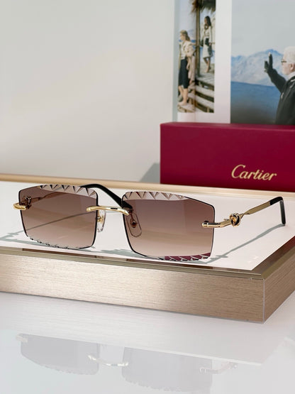 Cartier CLASSIC C DE CARTIER MOTIF CT0916 Sunglasses 🐆 - onlinechics.com