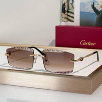 Cartier CLASSIC C DE CARTIER MOTIF CT0916 Sunglasses 🐆
