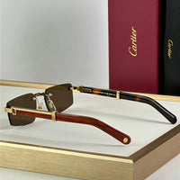 '- Cartier CT0485O Première de Cartier Rectangle Shape Sunglasses 🐆