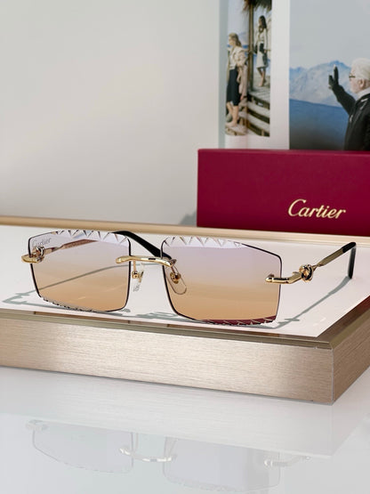 Cartier CLASSIC C DE CARTIER MOTIF CT0916 Sunglasses 🐆 - onlinechics.com