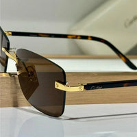 Cartier PREMIÈRE DE CARTIER CT0216OA Sunglasses 🐆  $1200