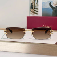 Cartier CT0550S Unisex Photochromic&Sunglasses 🐆