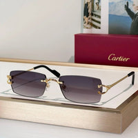 Cartier CT0550S Unisex Photochromic&Sunglasses 🐆