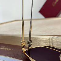 Cartier PREMIÈRE DE CARTIER CT0534S Sunglasses 🐆