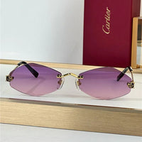 Cartier Eyewear Tiger Head Panthere CT0433S 001 Sunglasses  🐆