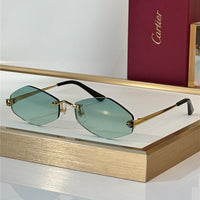 Cartier Eyewear Tiger Head Panthere CT0433S 001 Sunglasses  🐆