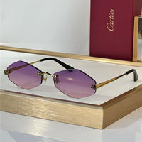 Cartier Eyewear Tiger Head Panthere CT0433S 001 Sunglasses  🐆