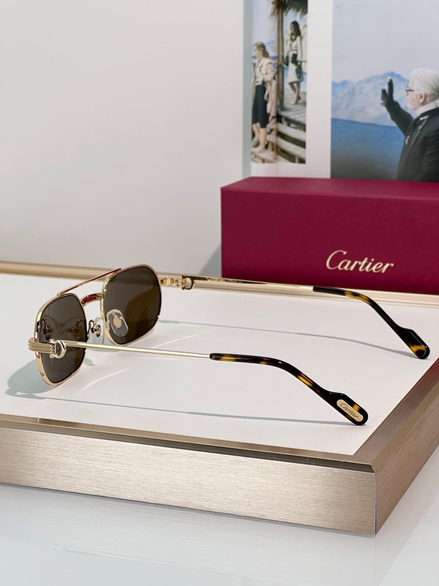 Cartier PREMIÈRE DE CARTIER Eyeglasses Exception CT0410O Sunglasses 🐆 - onlinechics.com