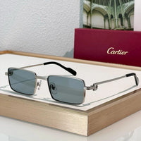 Cartier PREMIÈRE DE CARTIER CT501S Sunglasses 🐆