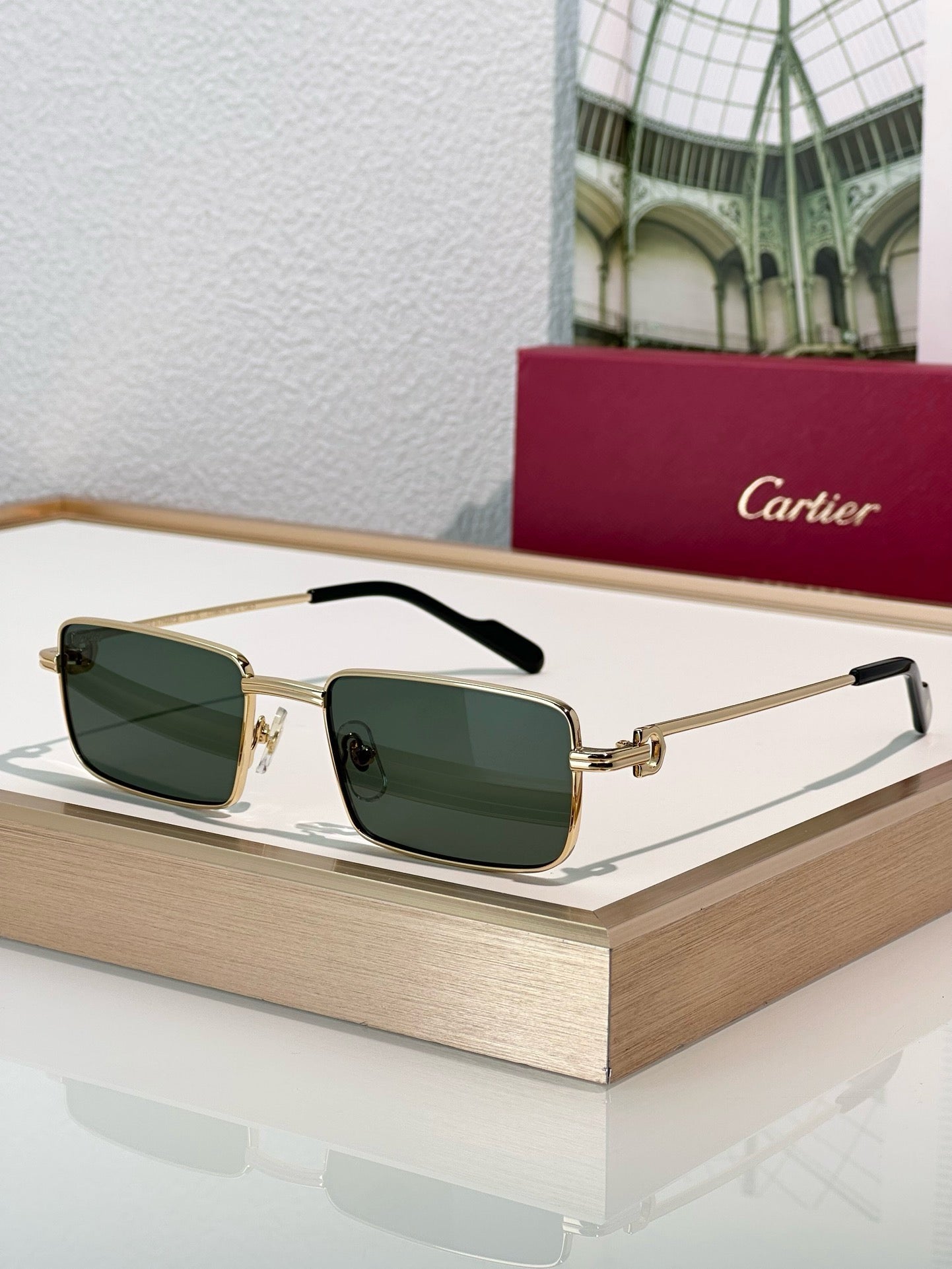 Cartier PREMIÈRE DE CARTIER CT501S Sunglasses 🐆