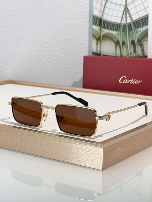 Cartier PREMIÈRE DE CARTIER CT501S Sunglasses 🐆