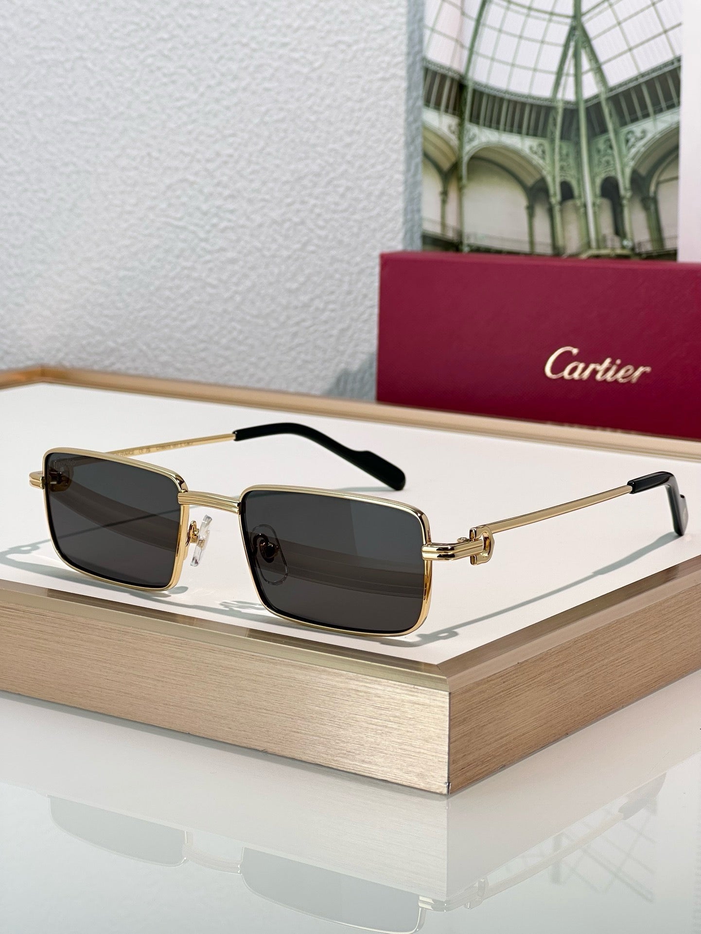 Cartier PREMIÈRE DE CARTIER CT501S Sunglasses 🐆