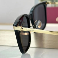 Cartier PREMIÈRE DE CARTIER CT0384 Sunglasses 🐆