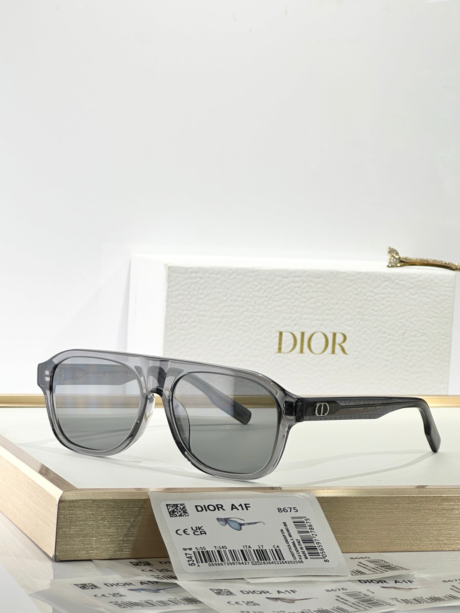 DIOR CD Icon A1F Transparent Beige Pilot  Sunglasses ✨ - onlinechics.com