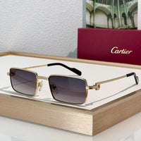 Cartier PREMIÈRE DE CARTIER CT501S Sunglasses 🐆