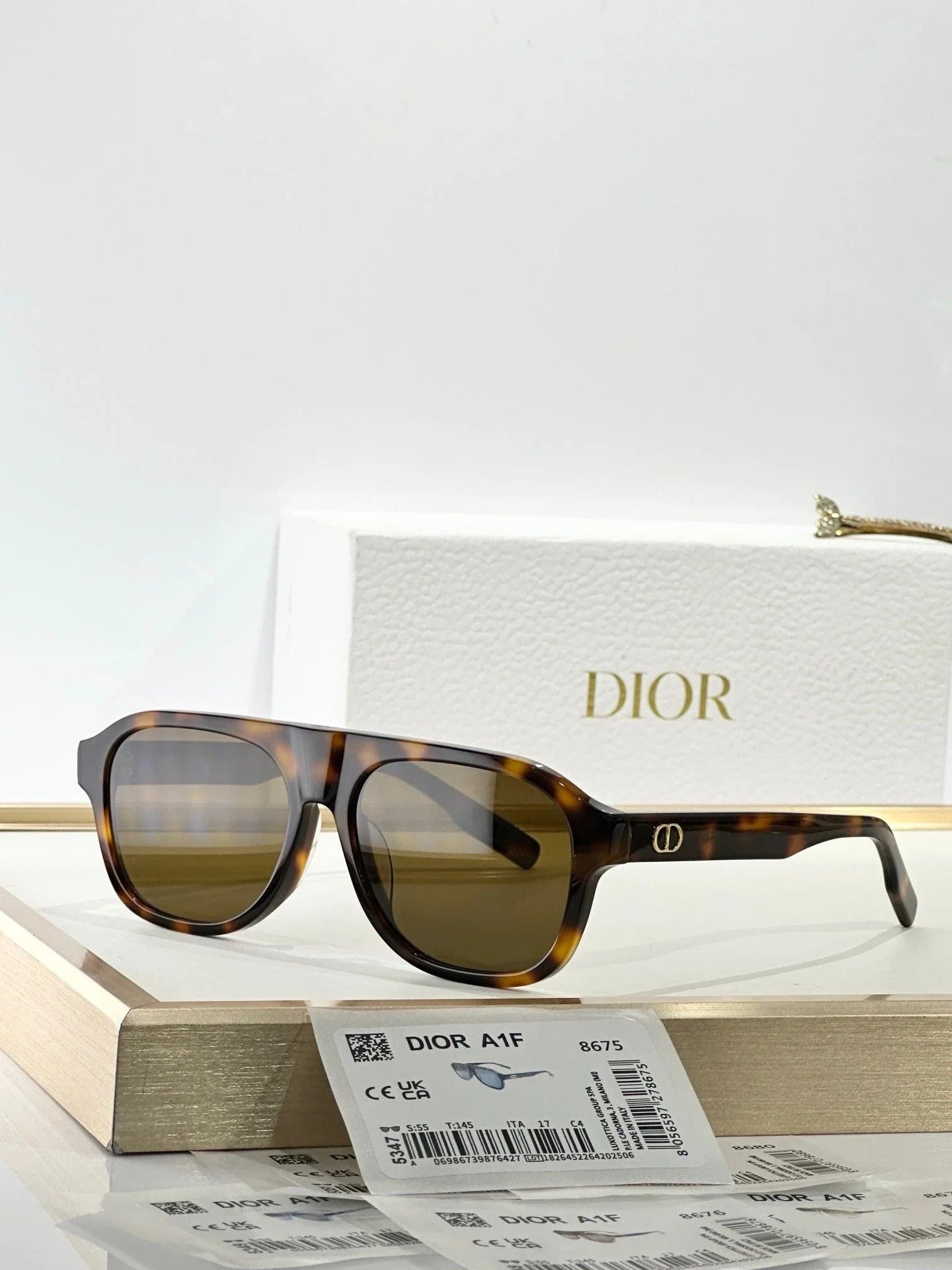 DIOR CD Icon A1F Transparent Beige Pilot Sunglasses ✨ — onlinechics
