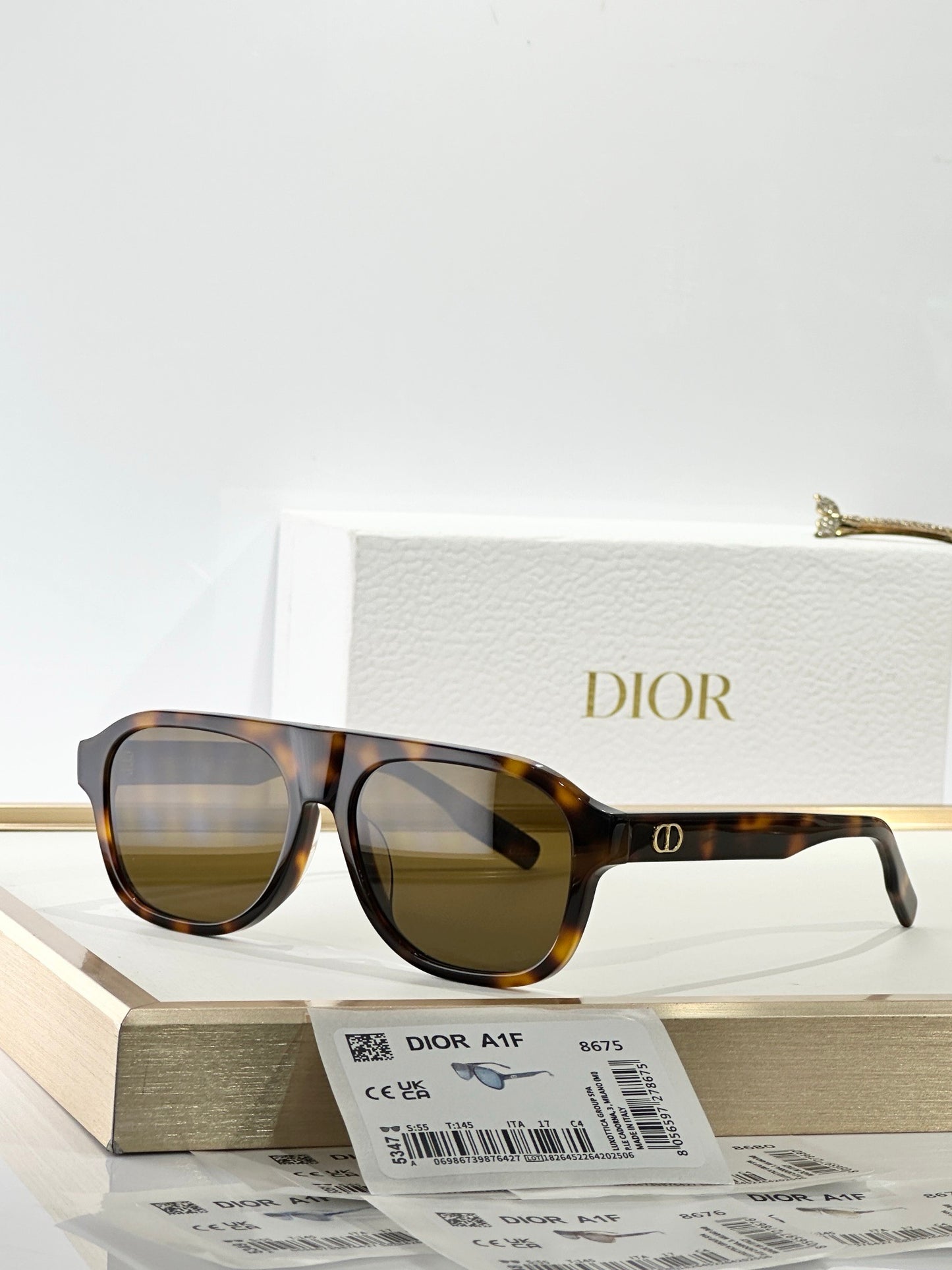 DIOR CD Icon A1F Transparent Beige Pilot  Sunglasses ✨ - onlinechics.com