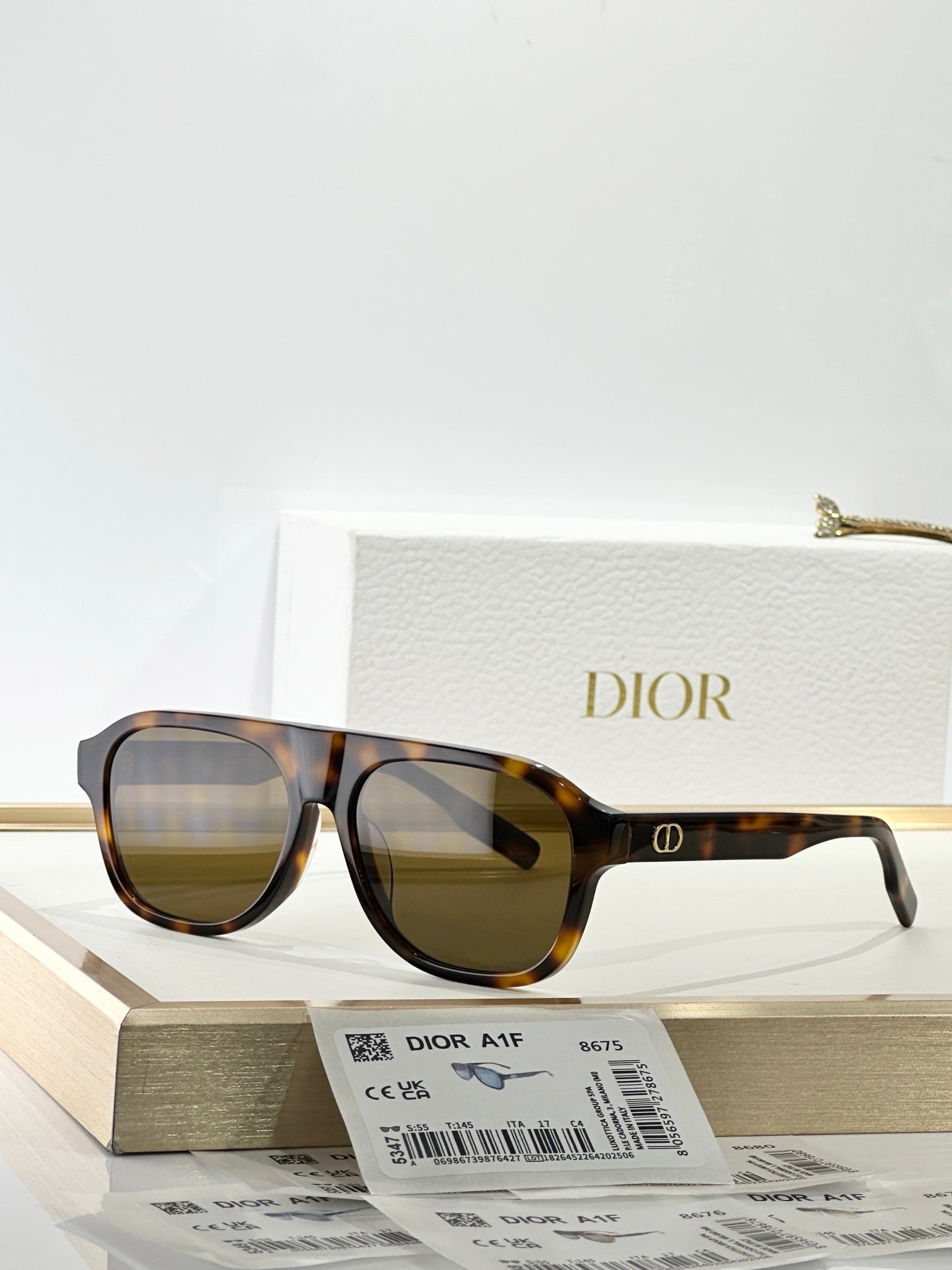 DIOR CD Icon A1F Transparent Beige Pilot  Sunglasses ✨ - onlinechics.com