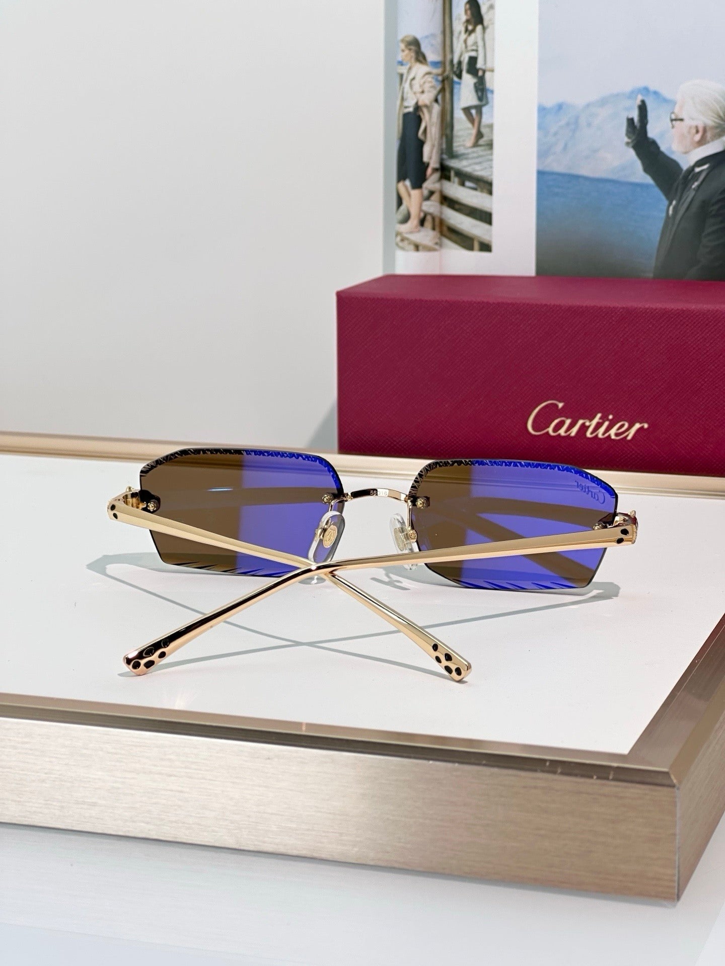 Cartier CLASSIC C DE CARTIER MOTIF Panthere CT0815 Sunglasses 🐆 - onlinechics.com