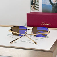 Cartier CLASSIC C DE CARTIER MOTIF Panthere CT0815 Sunglasses 🐆