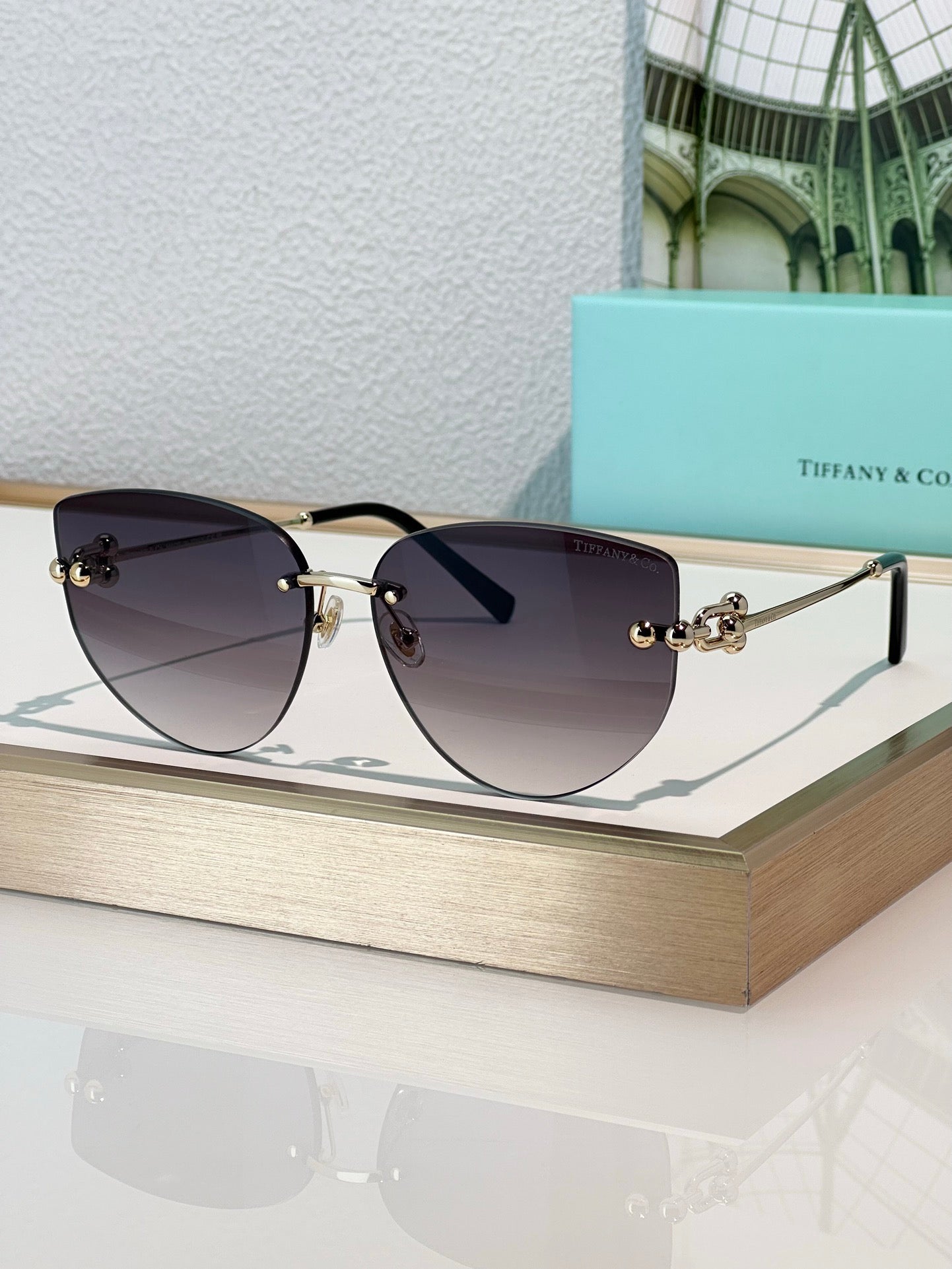 TIFFANY & CO TF3096 Women's Sunglasses ✨