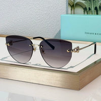 TIFFANY & CO TF3096 Women's Sunglasses ✨