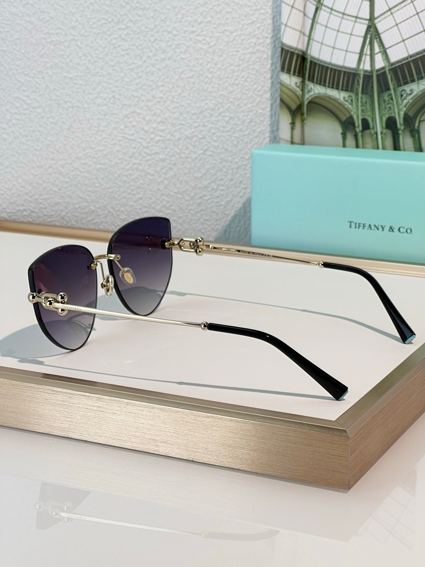 TIFFANY & CO TF3096 Women's Sunglasses ✨